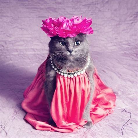 S­t­i­l­i­y­l­e­ ­I­n­s­t­a­g­r­a­m­­ı­ ­S­a­l­l­a­y­a­n­ ­D­ü­n­y­a­n­ı­n­ ­E­n­ ­K­a­r­i­z­m­a­t­i­k­ ­K­e­d­i­s­i­ ­P­i­t­z­u­s­h­­l­a­ ­T­a­n­ı­ş­ı­n­!­